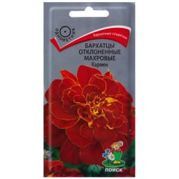 Бархатцы отклонённые махровые Кармен 1