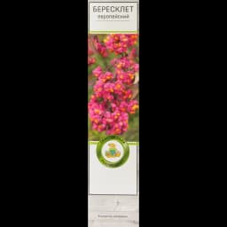 Бересклет Европейский h37 см 1