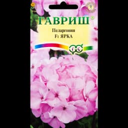 Пеларгония Ярка F1 зональная 4 шт 1