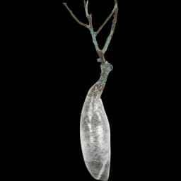 Роза чайно-гибридная Хоммаж Барбара 3