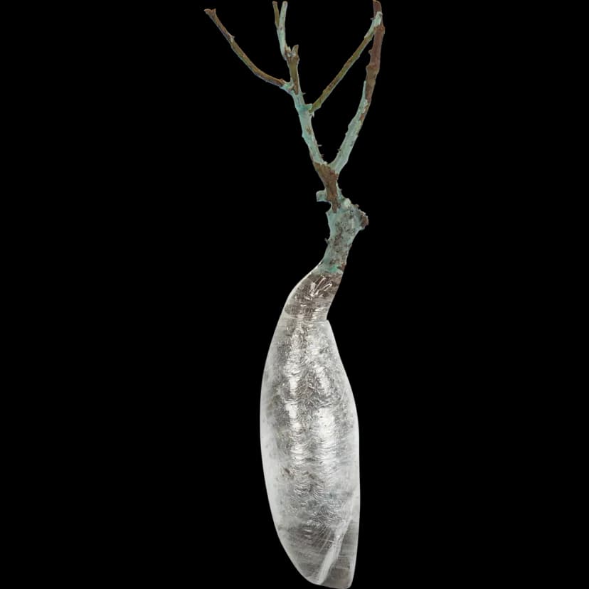 Роза чайно-гибридная Хоммаж Барбара 3