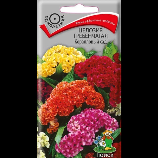 Семена Целозия Гребенчатая «Коралловый сад»
