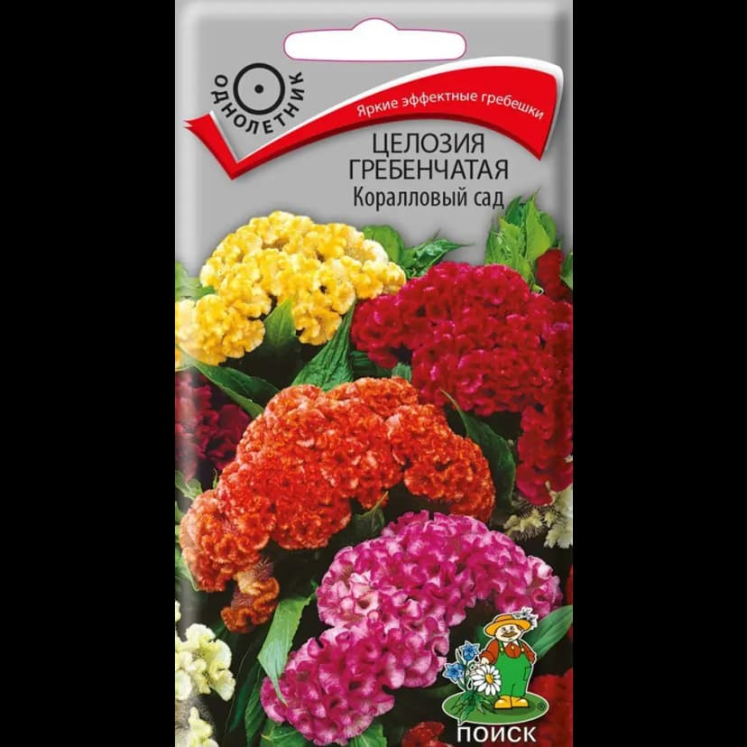 Семена Целозия Гребенчатая «Коралловый сад» 1