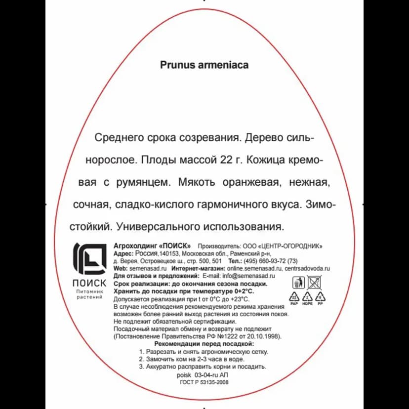 Абрикос Графиня ø20 h220 см 3