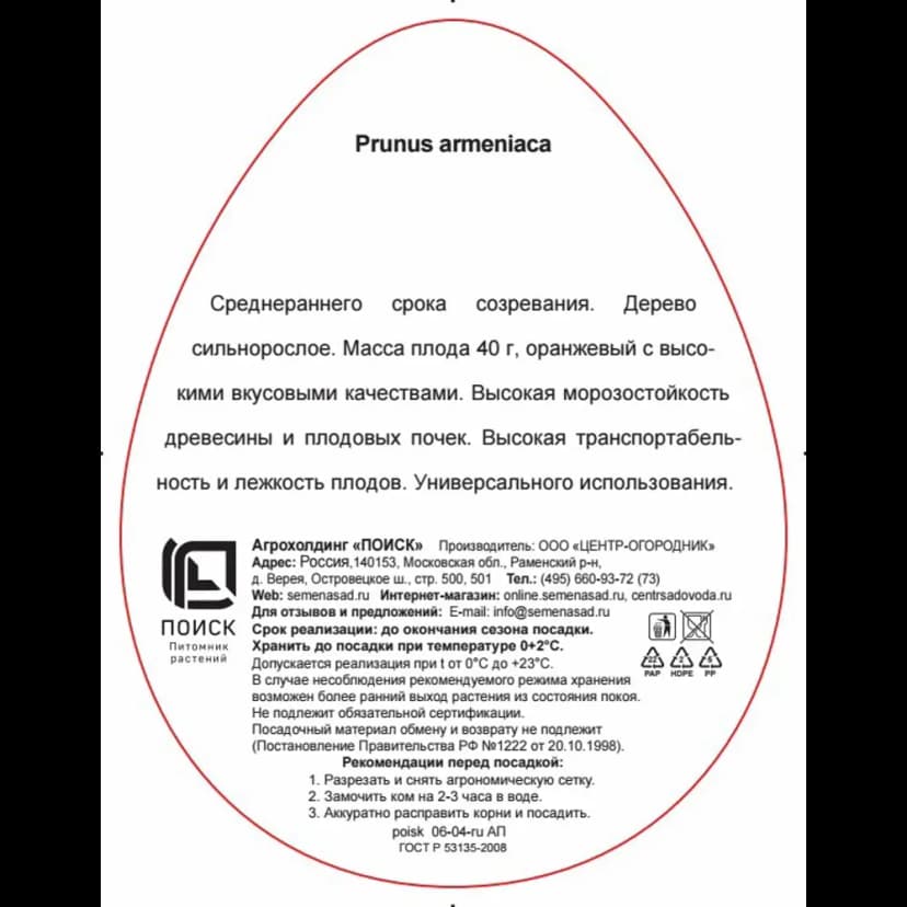 Абрикос Саратовский рубин ø20 h220 см 3