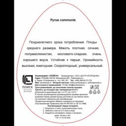 Груша Чижовская h220 см 2