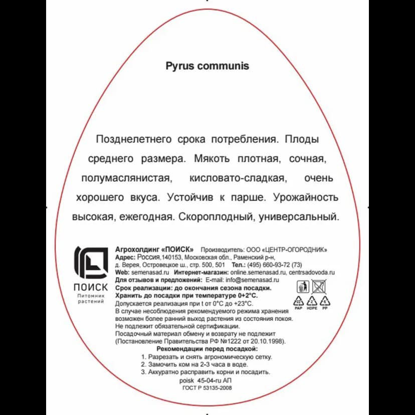 Груша Чижовская h220 см 2