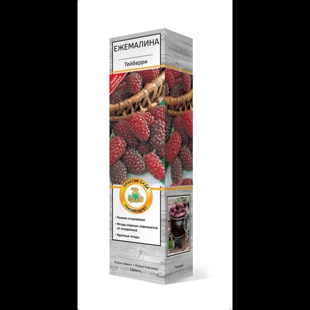 Ежемалина Тейберри h37 см