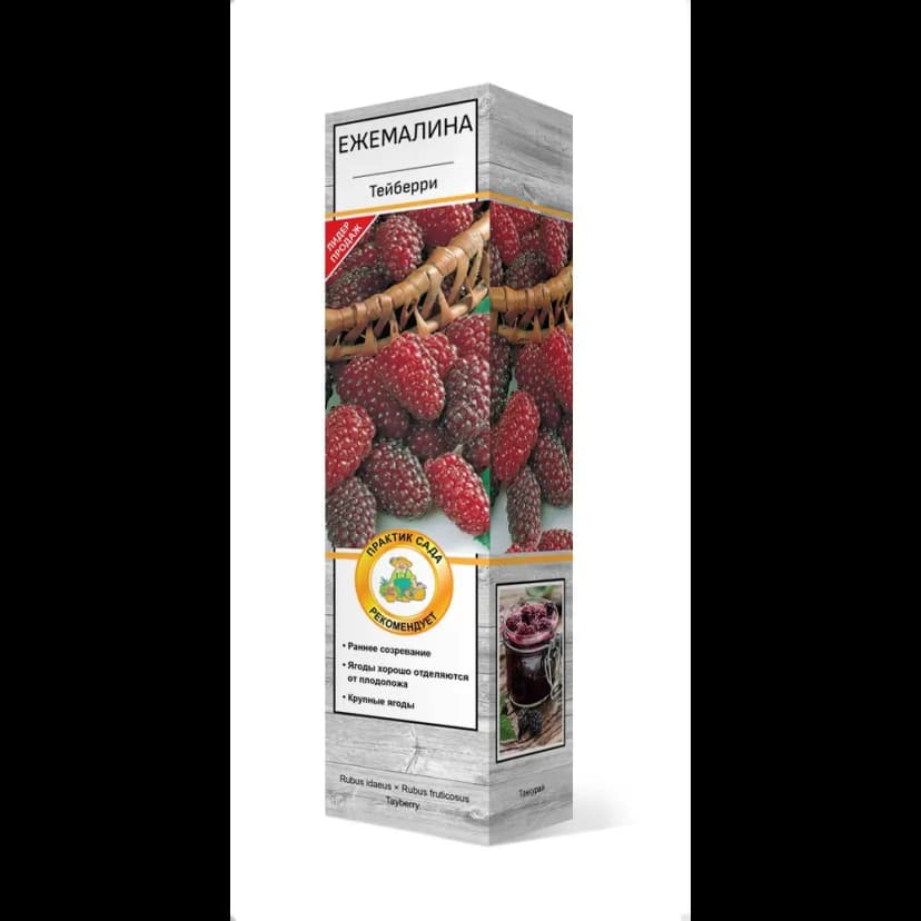 Ежемалина Тейберри h37 см 1