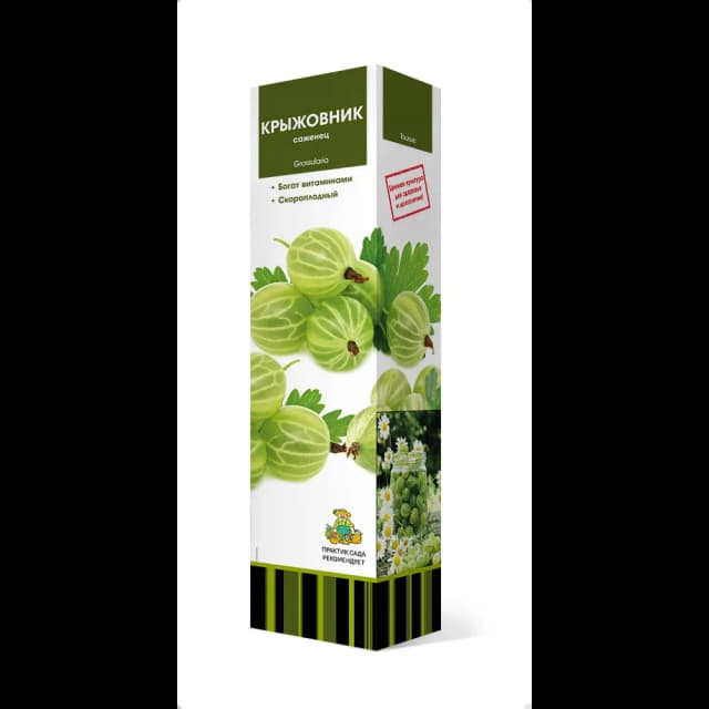 Крыжовник Уральский изумруд h37 см