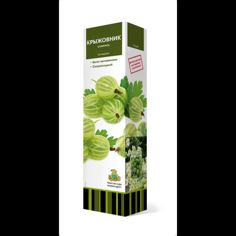 Крыжовник Уральский изумруд h37 см 1
