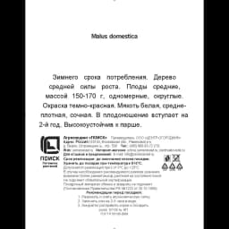 Яблоня колонновидная Московское ожерелье h200 см в сетке Поиск Инвест 3