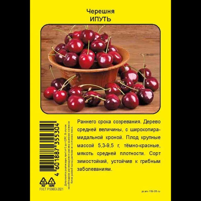 Черешня Ипуть пакет h90 см