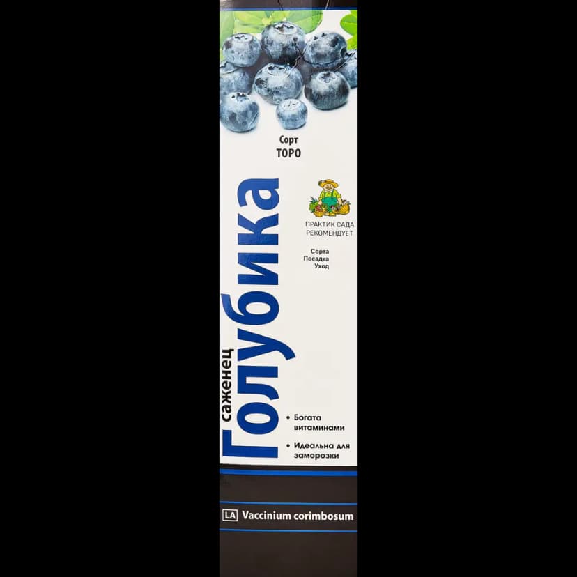 Голубика высокорослая Торо h40 см 1