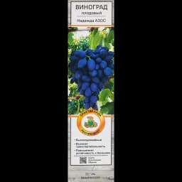 Виноград плодовый Надежда АЗОС h60 см 1