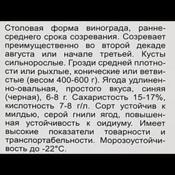 Виноград плодовый Надежда АЗОС h60 см 5