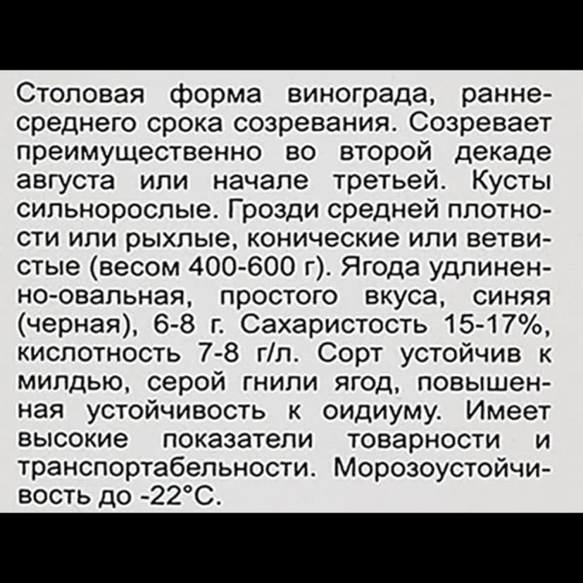 Виноград плодовый Надежда АЗОС h60 см 5