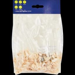 Лилия азиатская Ред Хайленд 2