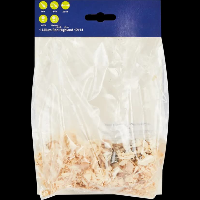 Лилия азиатская Ред Хайленд 2