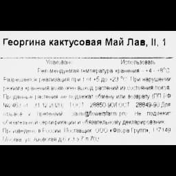 Георгина кактусовая Май Лав 3