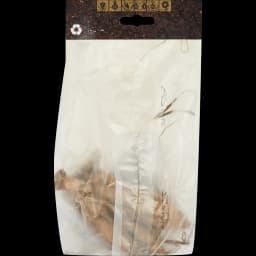 Георгина бордюрная Мьюзет 2