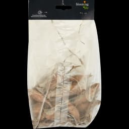 Георгина декоративная Спартакус 2