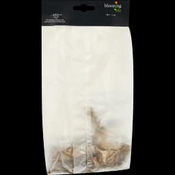 Георгина декоративная Вассио Меггос 2