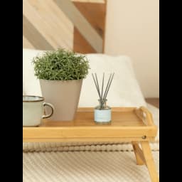 Ароматический диффузор Arida Home Hygge 21 Остров Борнео 50 мл 8