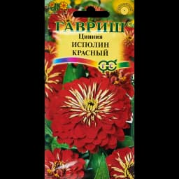 Семена цветов Гавриш цинния Исполин красный 1