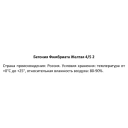 Бегония Фимбриата желтая 40 мм 3