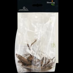 Георгина бахромчатая Дабл Жу 100 мм 2