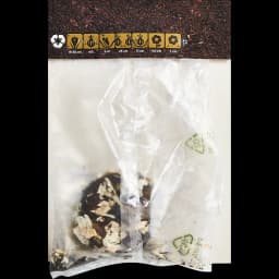 Глоксиния Рой Де Руж 40 мм 2