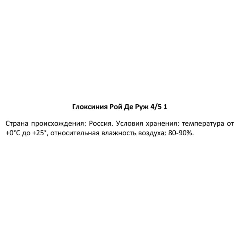 Глоксиния Рой Де Руж 40 мм 3
