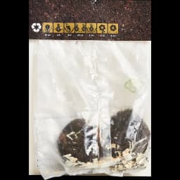 Бегония махровая красная 40 мм 2