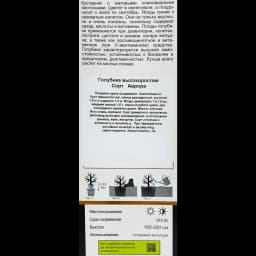 Голубика высокорослая Аврора короб h35 см 3