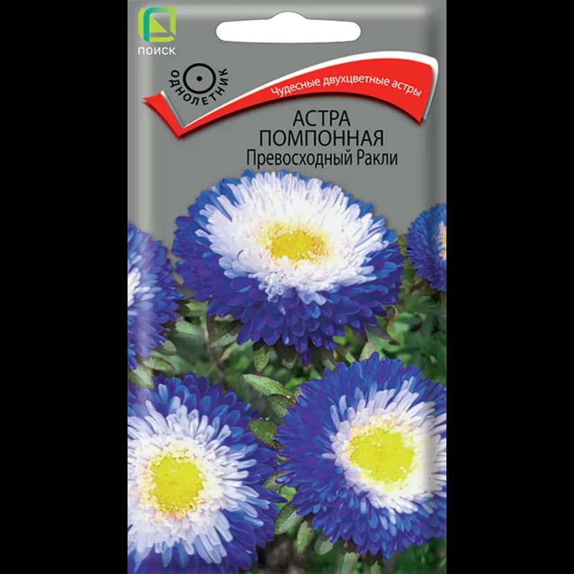 Семена цветов Поиск астра помпонная Превосходный Ракли 1