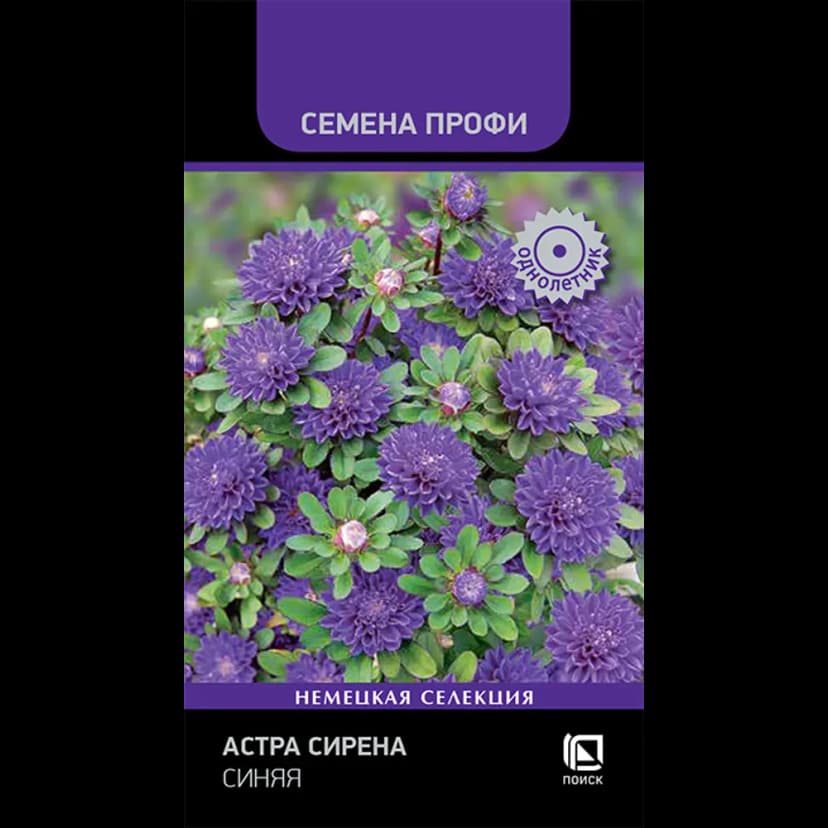 Семена цветов Поиск астра Сирена синяя 1