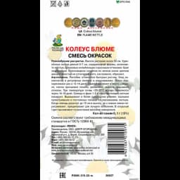 Семена цветов Поиск колеус Блюме микс 2