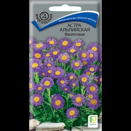 Семена цветов Поиск астра альпийская фиолетовая 1