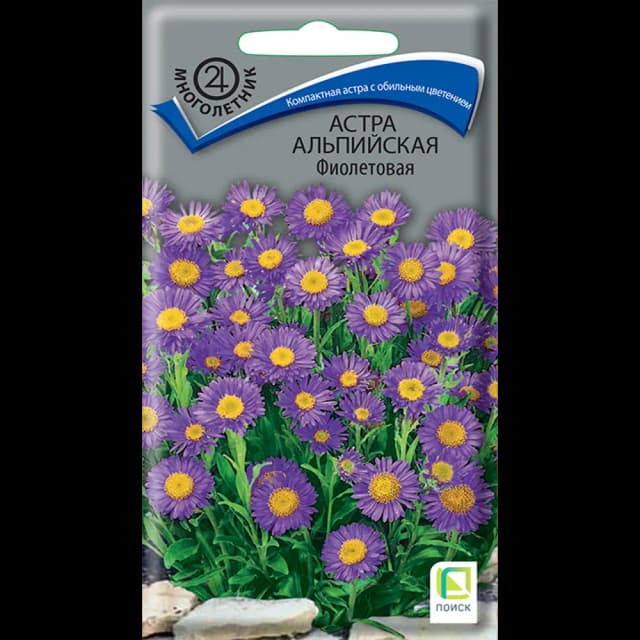 Семена цветов Поиск астра альпийская фиолетовая