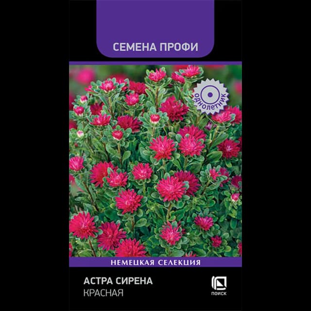 Семена цветов Поиск астра Сирена красная