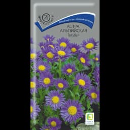 Семена цветов Поиск астра альпийская голубая 1