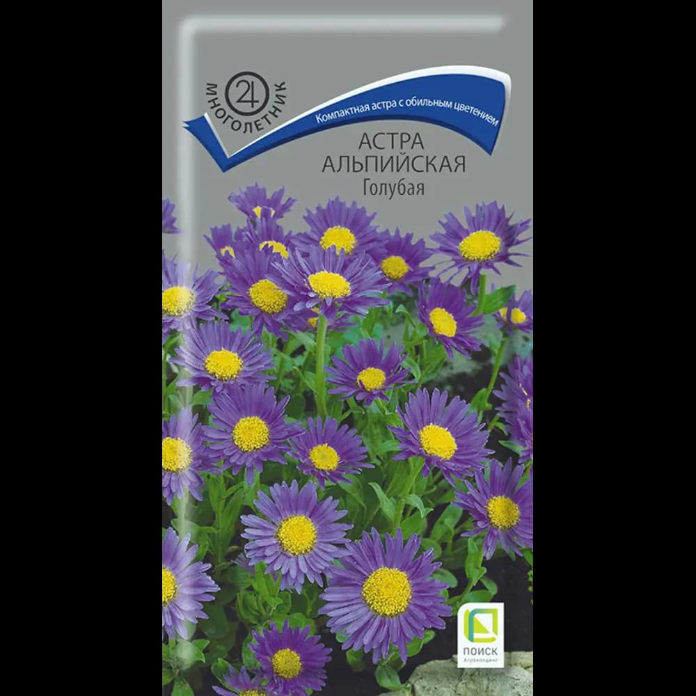 Семена цветов Поиск астра альпийская голубая