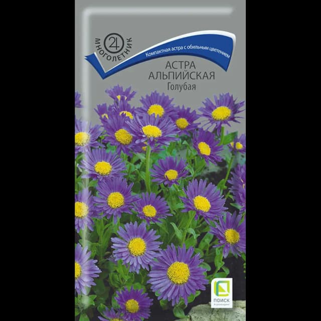 Семена цветов Поиск астра альпийская голубая