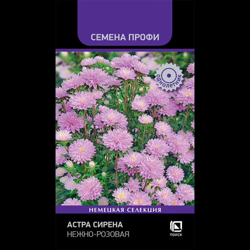 Семена цветов Поиск астра Сирена нежно-розовая 1