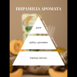Ароматический диффузор Aroma Harmony Спелая дыня 30 мл 3