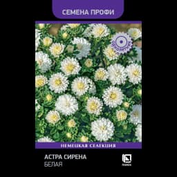 Семена цветов Поиск астра Сирена белый 1