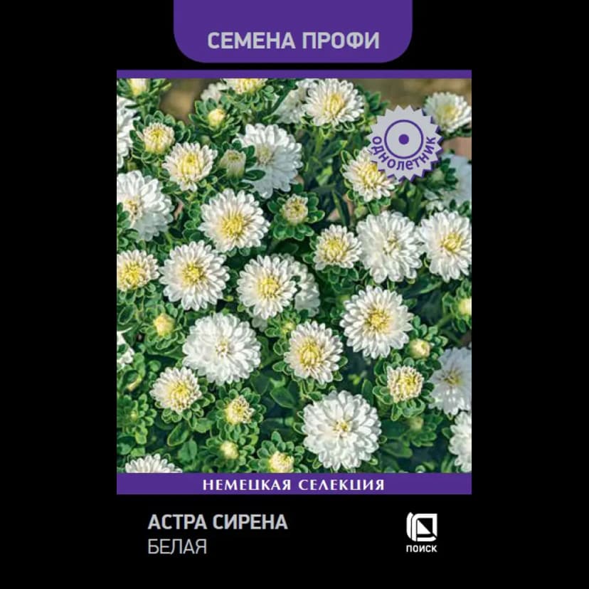 Семена цветов Поиск астра Сирена белый 1