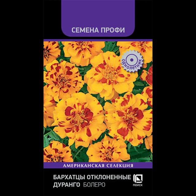 Семена цветов Поиск бархатцы отклоненные Дуранго Болеро