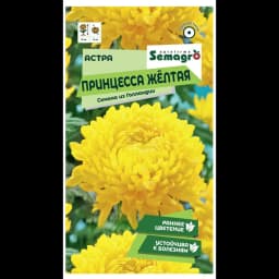 Семена цветов Semagro астра Принцесса желтый 1